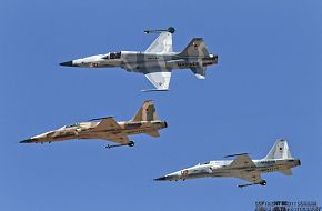 USMC F-5N Tiger II Aggressor Fighter Aircraft