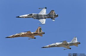 USMC F-5N Tiger II Aggressor Fighter Aircraft