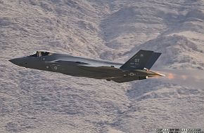 USAF F-35A Panther Multi-Role Combat Aircraft