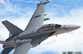 US Navy EA-18G Growler Electronic Warfare Aircraft