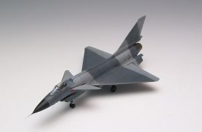 J-10 model