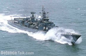 INS Delhi