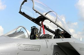 MAKS 2005 Air Show - F-15E Eagle USAF