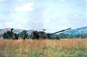 M109A6 Paladin Self Propelled Howitzer ( US Army )