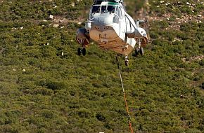 Destined Glory "loyal Midas" - Sea King helicopters