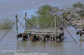 Exercise of the Cpo Ej II - Argentine Army