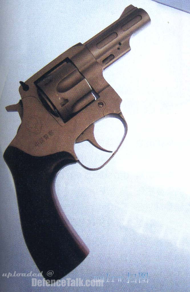 9 MM Pistol-PLA