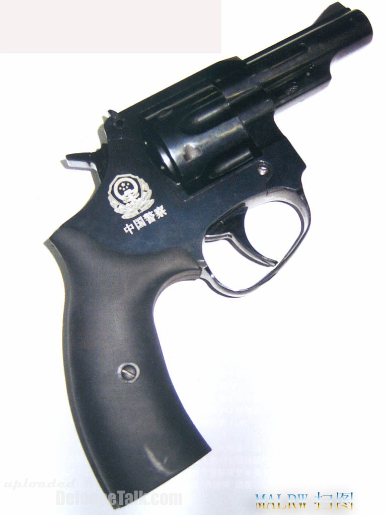 9 MM Pistol-PLA