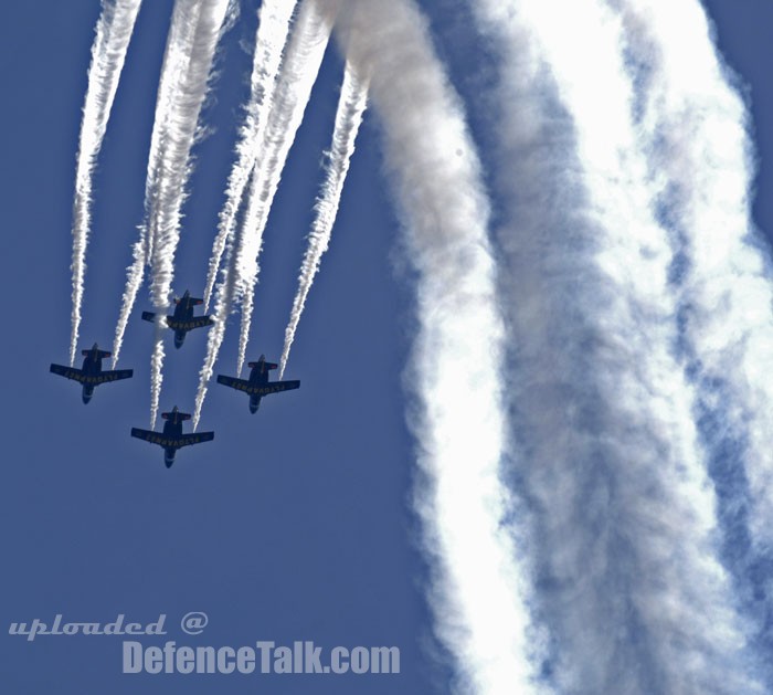 Airshow 2006|||Swedish Air Force 80th anniversary