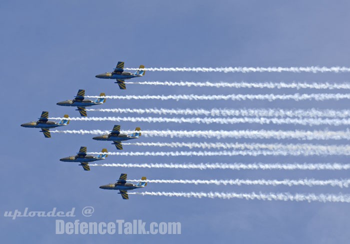 Airshow 2006|||Swedish Air Force 80th anniversary