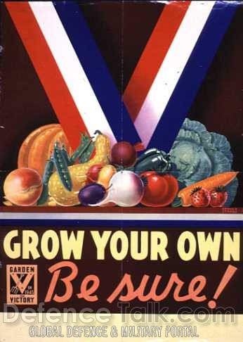 Allies Propaganda Poster - World War II