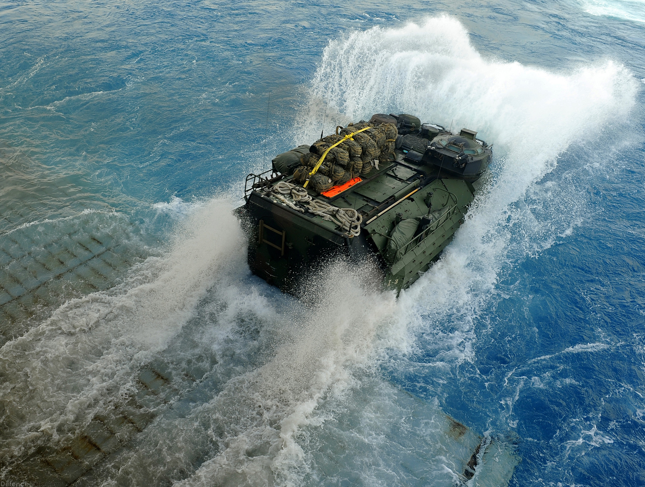 Amphibious Assault Vehicle (AAV) - Bright Star 2009