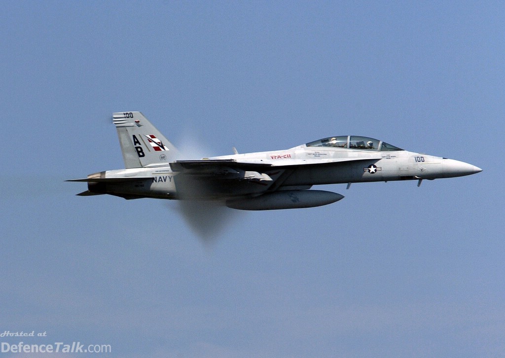 An F/A-18F Super Hornet