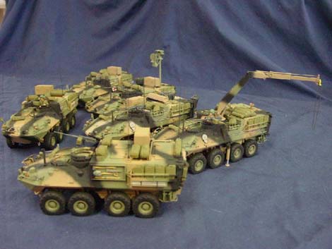 ASLAV Variants