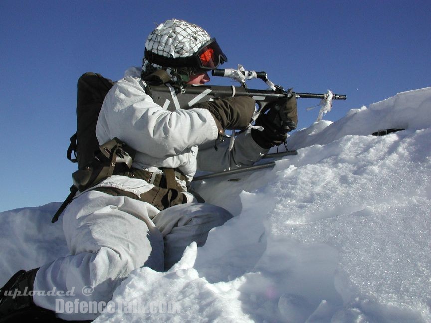 Austrian Alpine Soldier