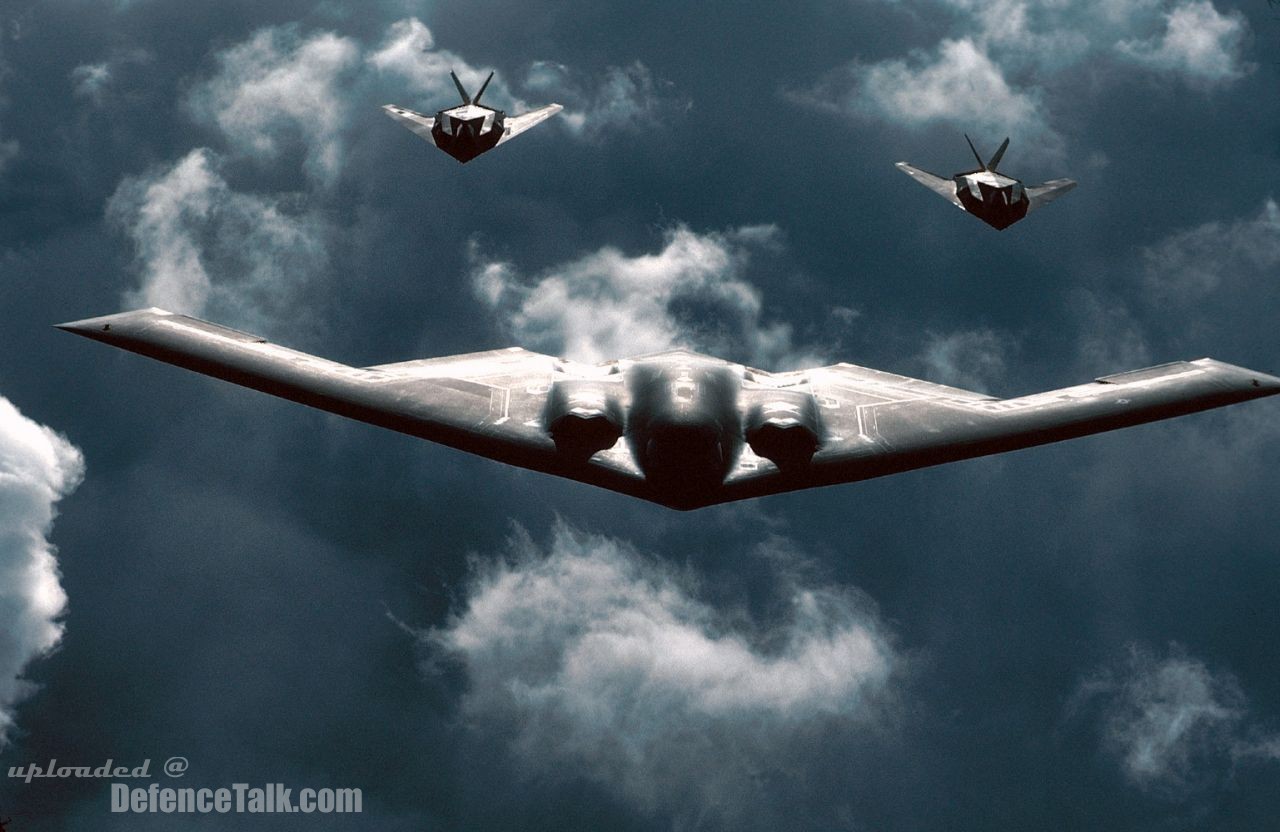 B-2 Spirit Stealth Bomber and F-117 Nighthawks - US Air Force