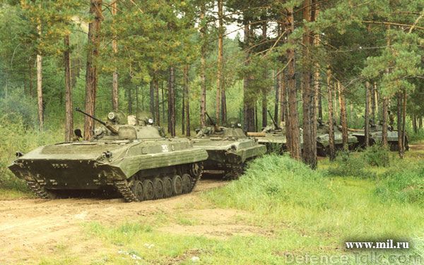 BMP-2 column