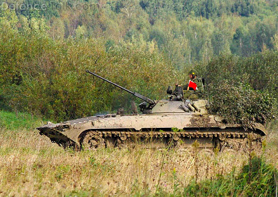 BMP-2