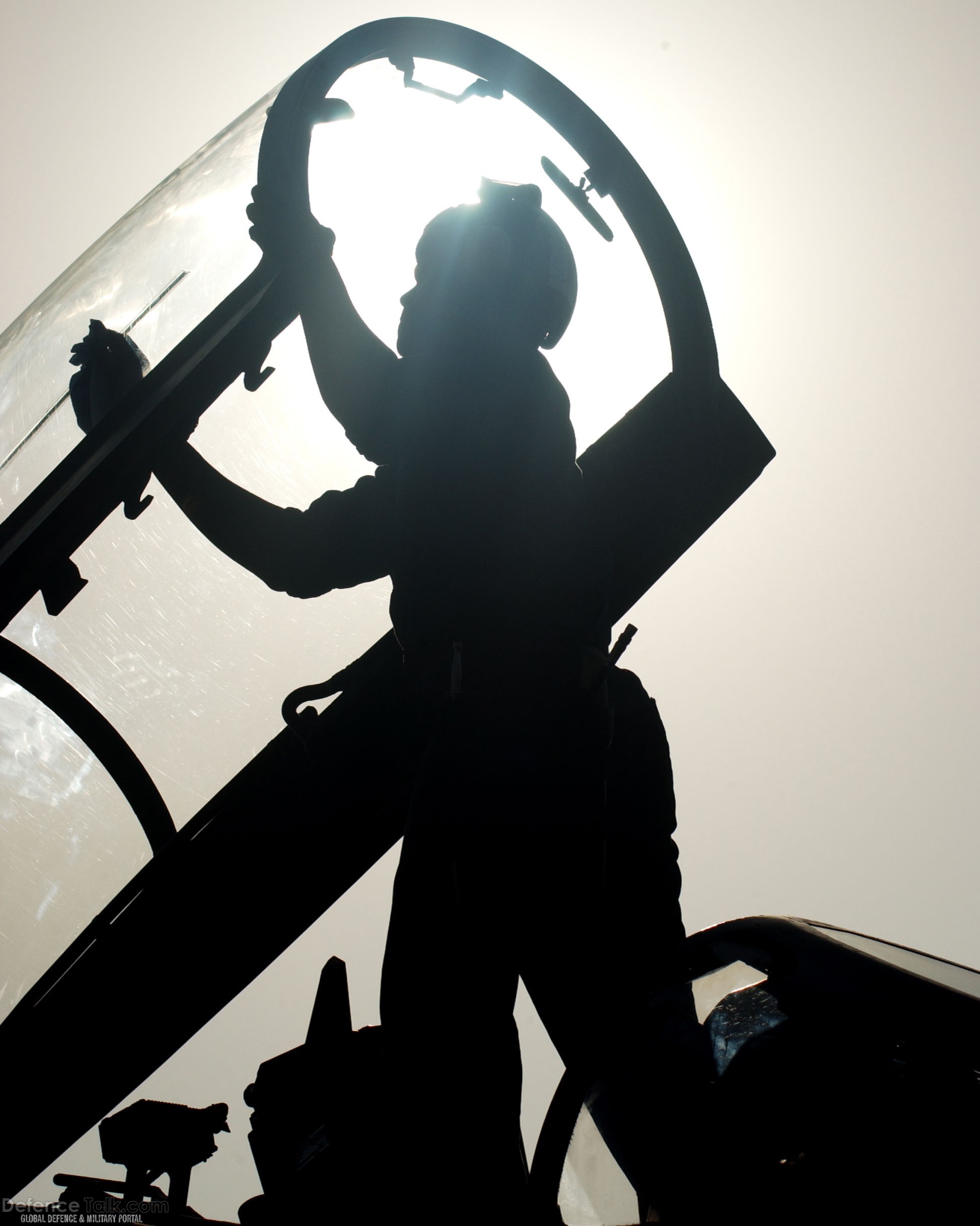 Canopy of an F-14D Tomcat - Final Deployment