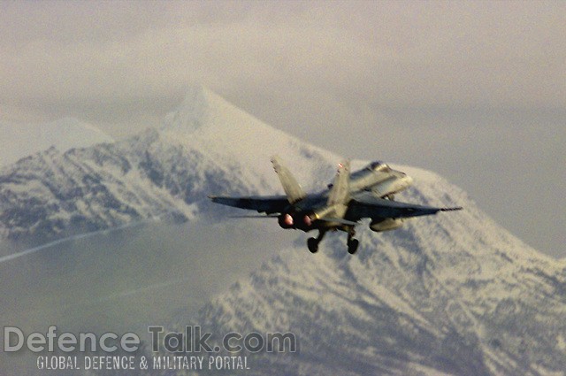 CF-18 Hornet