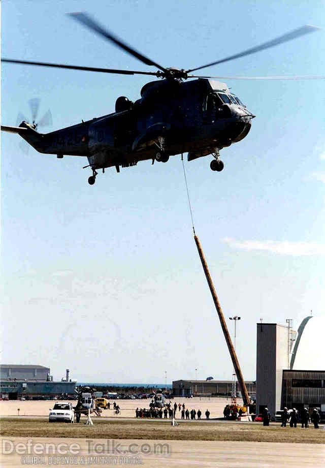 CH-124 Sea King