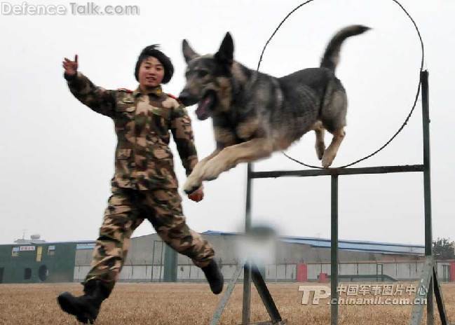 Chinese  AFP Womens Corps