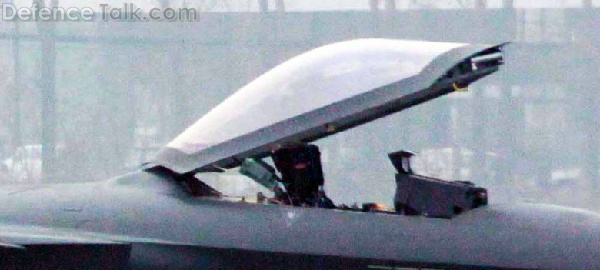 Chinese J-20