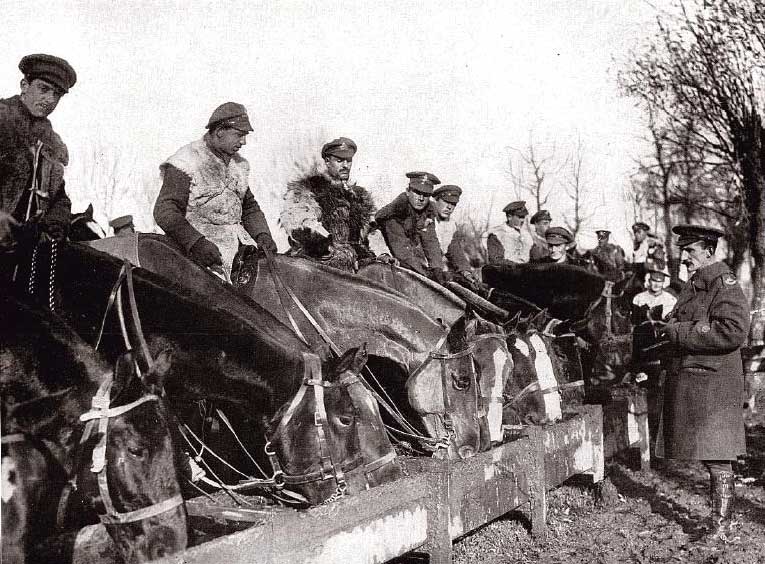 cnp_canadian_soldiers_01