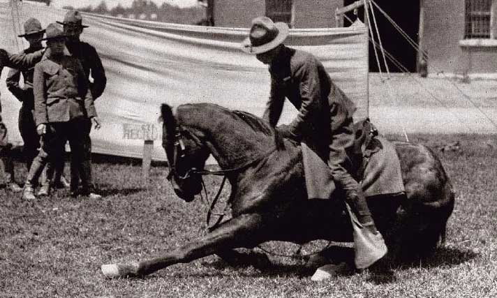 cnp_horsemanship_01