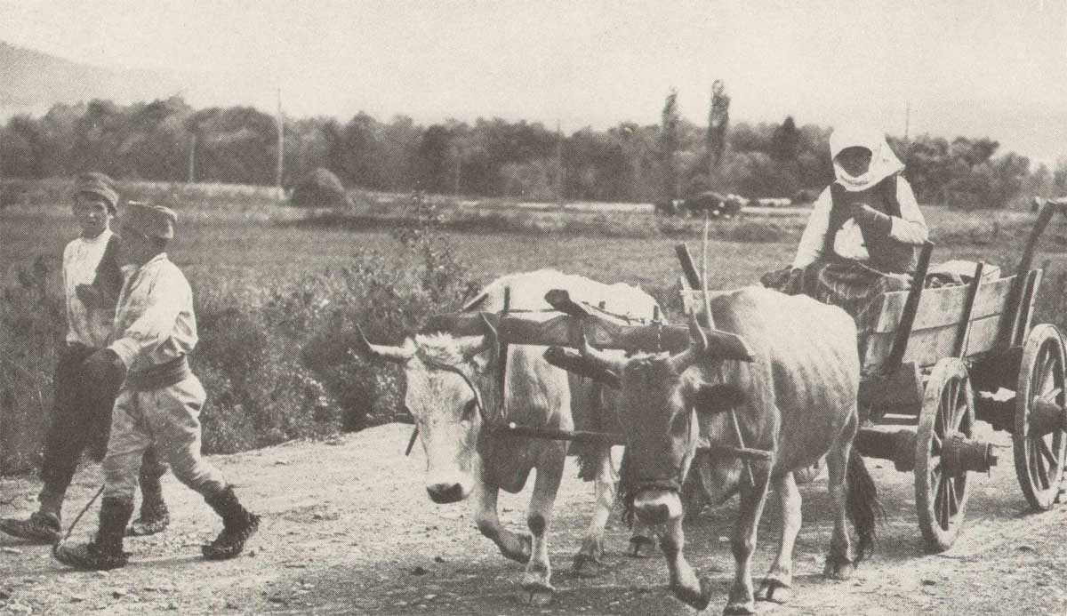 cpe_serbian_refug_01
