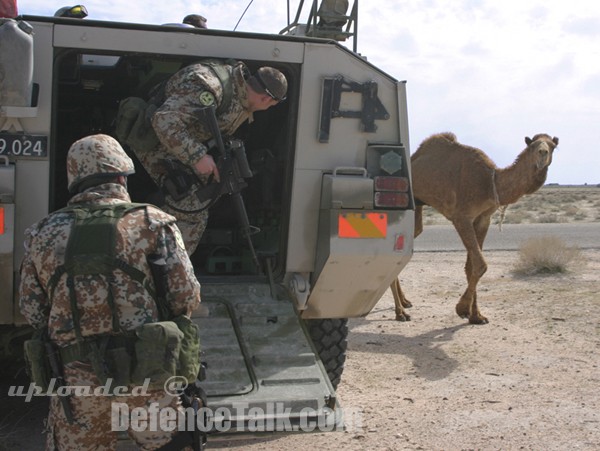 Danish Armed Forces in Iraq