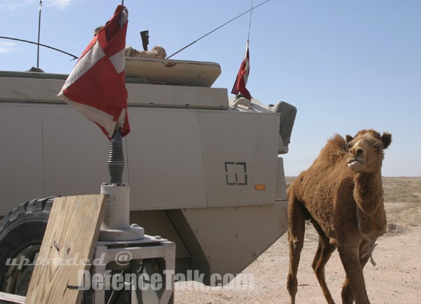 Danish Armed Forces in Iraq