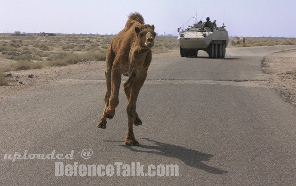 Danish Armed Forces in Iraq