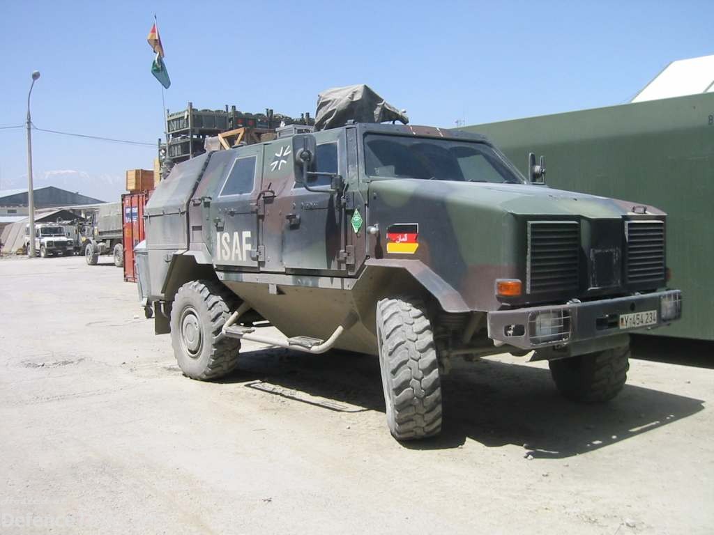 Dingo APC