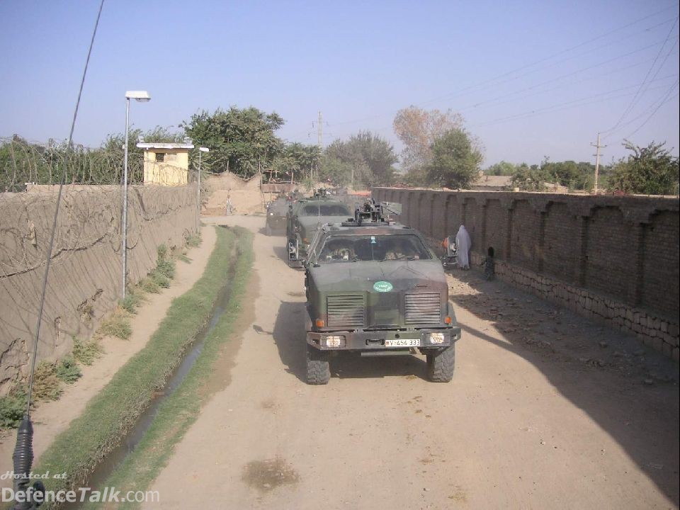 Dingo in Kunduz