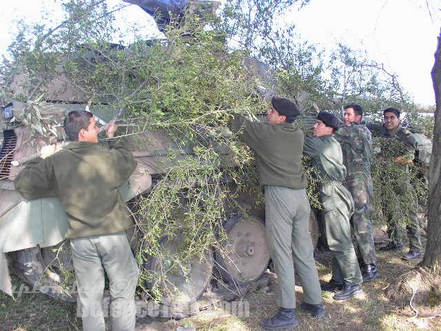 Exercise of the Cpo Ej II - Argentine Army