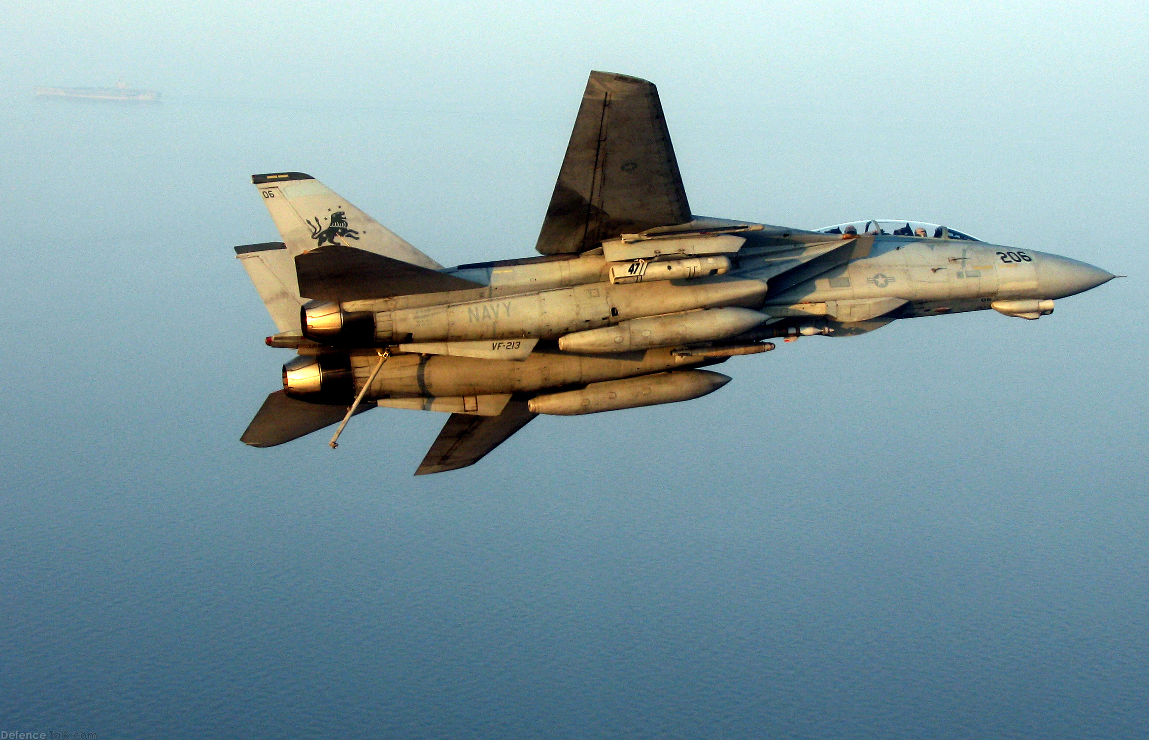 F-14 Tomcat - Fighter Aircraft