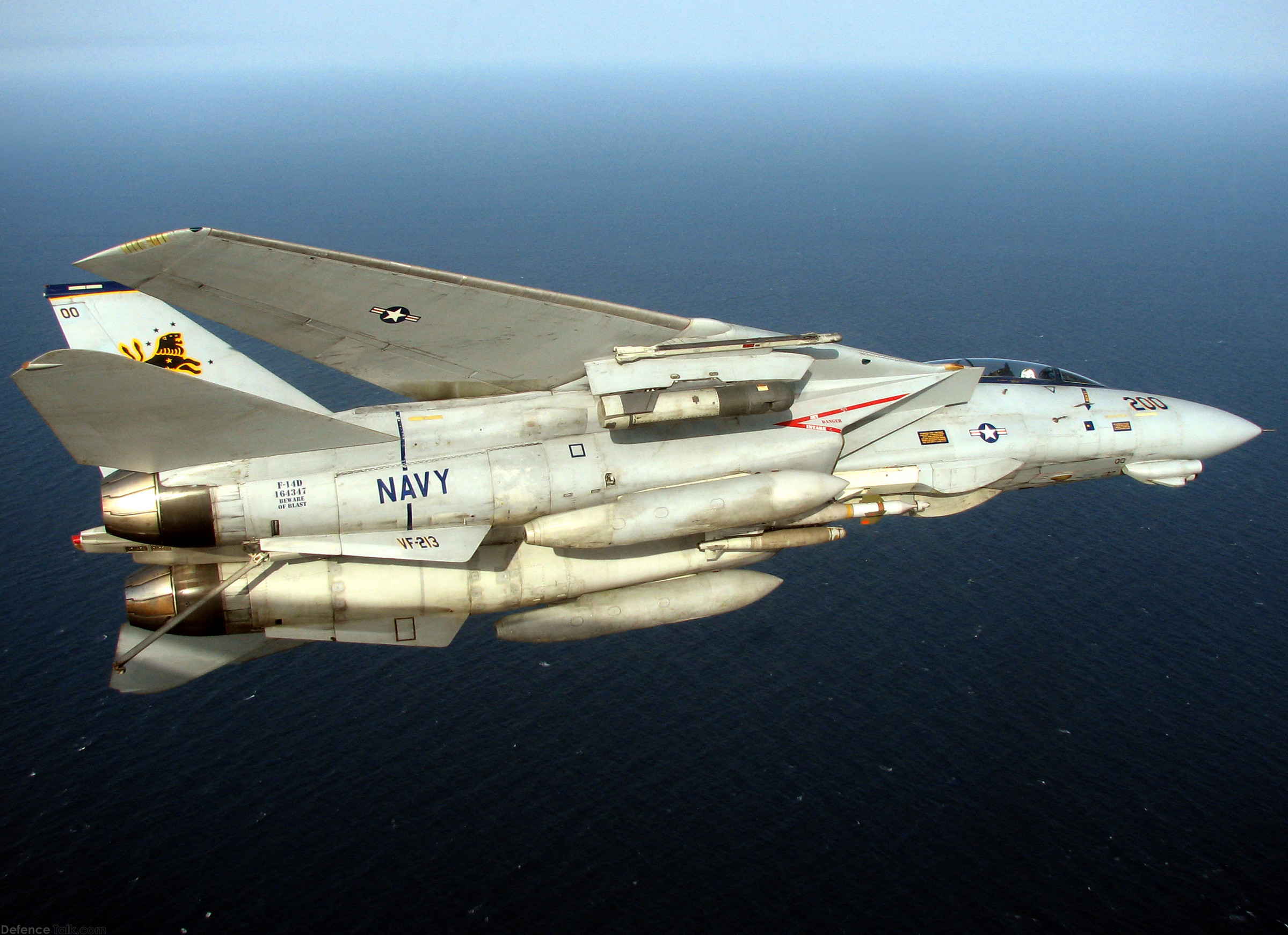 F-14 Tomcat - Fighter Aircraft