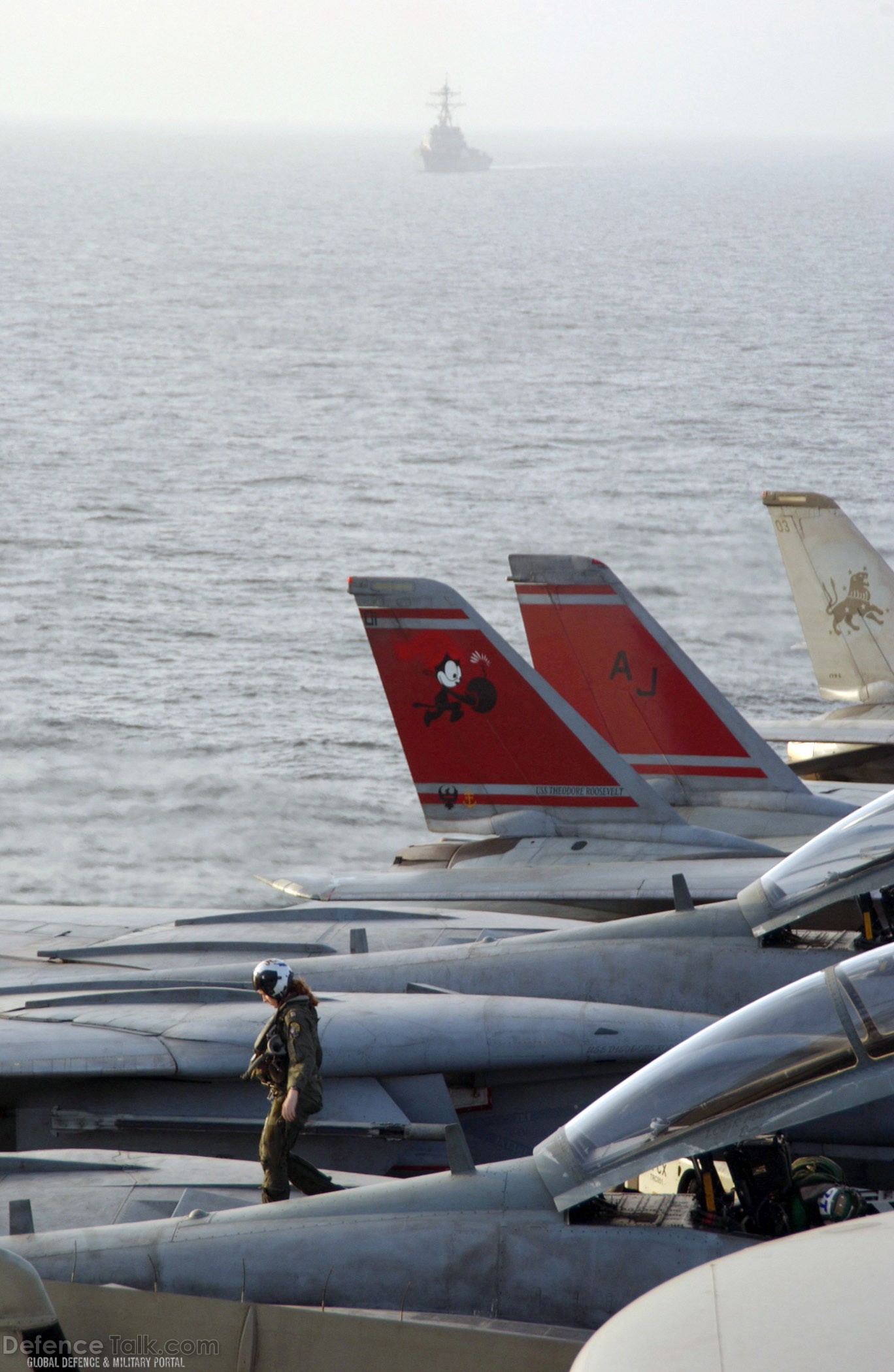F-14 Tomcat Fighter's Final Deployment - US Navy