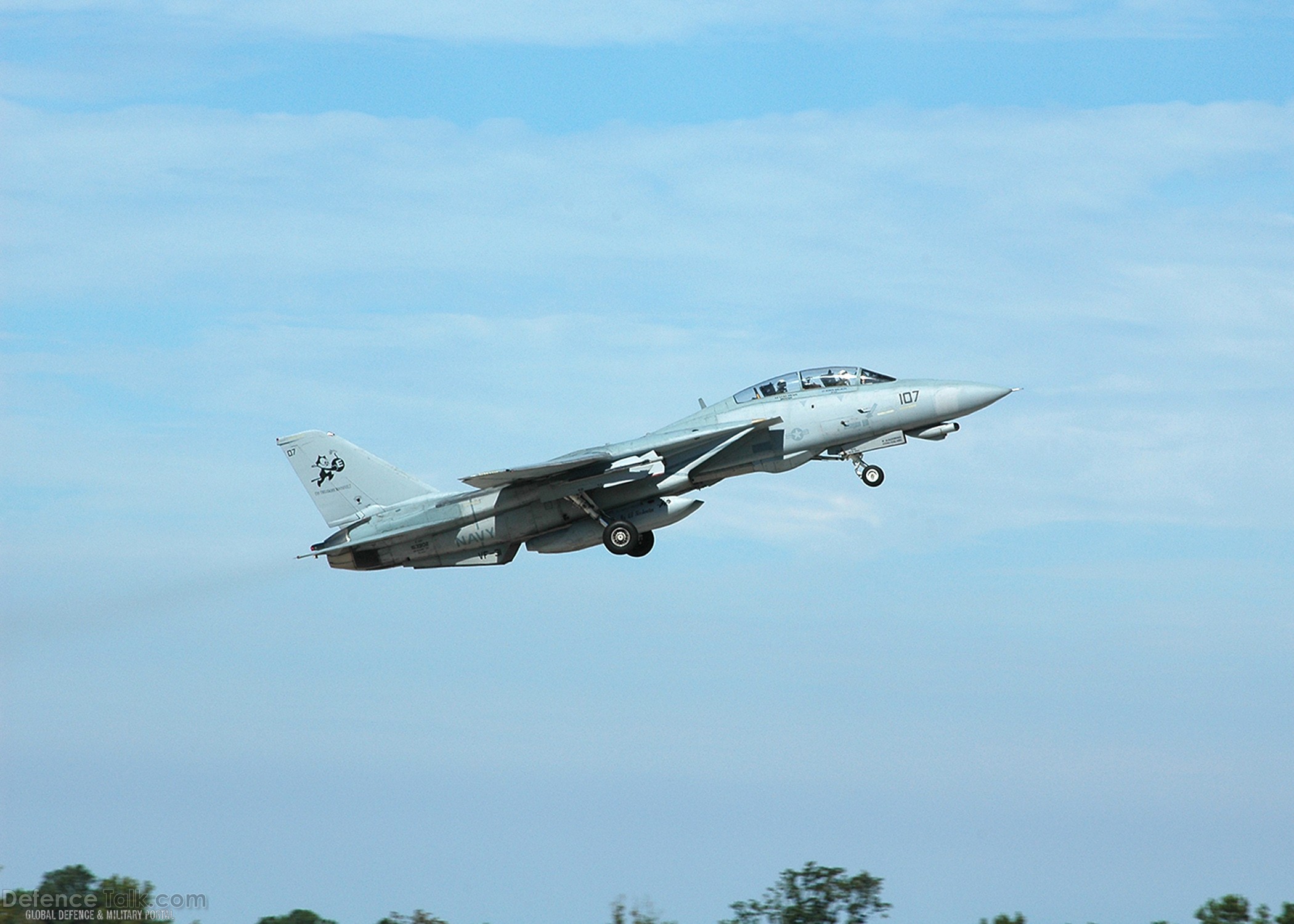 F-14 Tomcat Final Deployment - Fighter Squadron Three One
