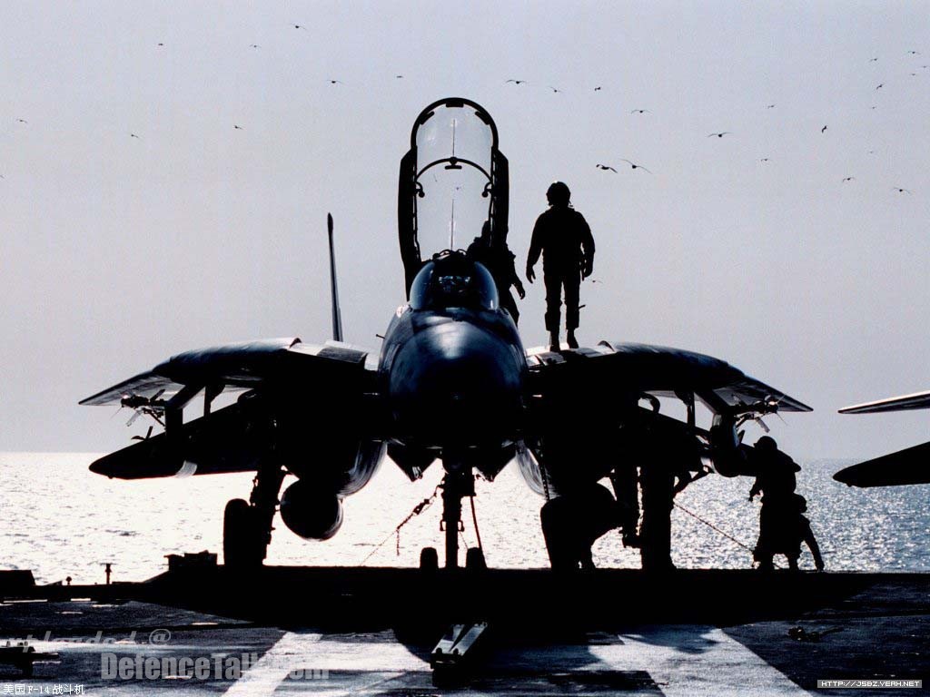 F-14 Tomcat-US Air Force