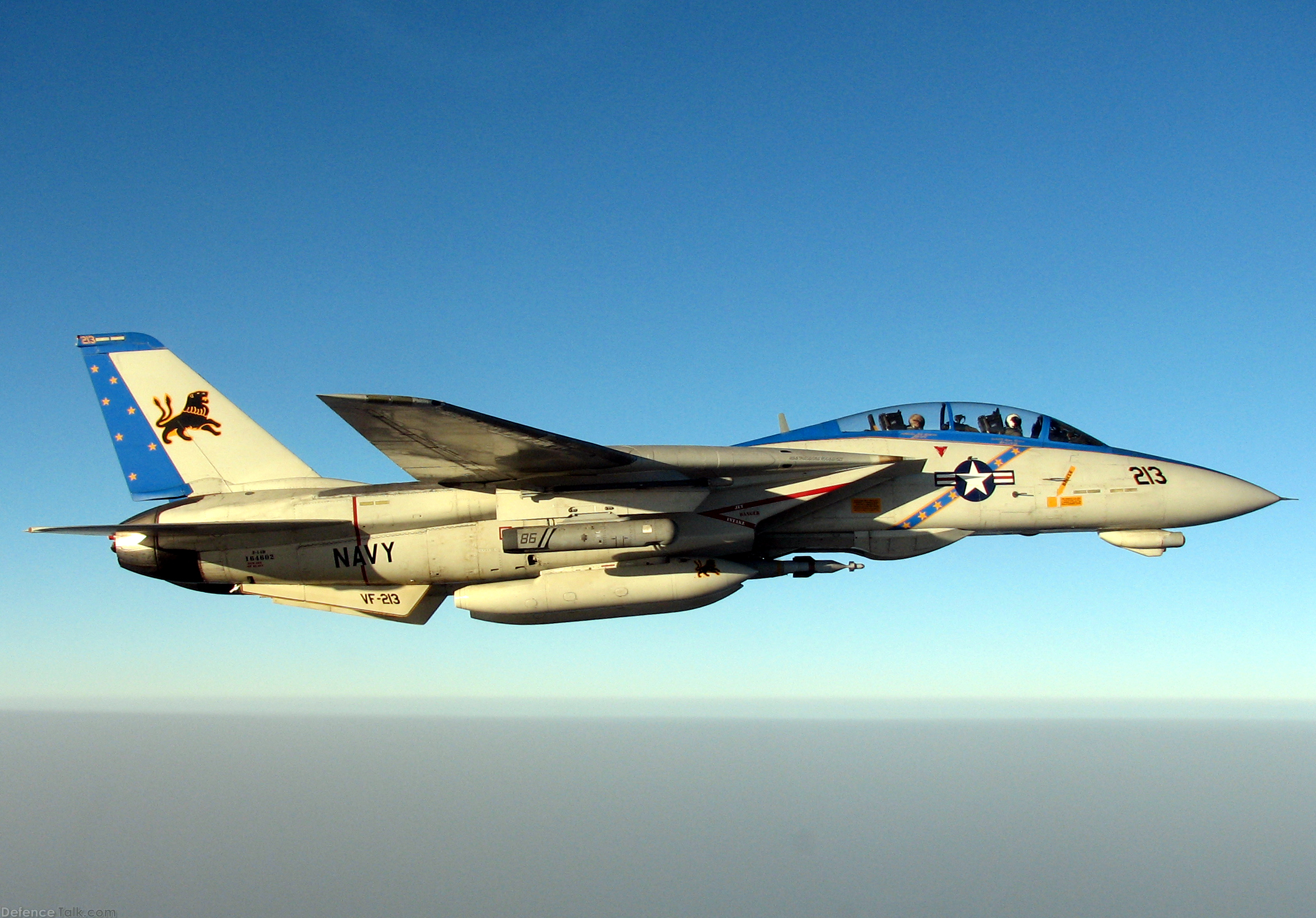 F-14 Tomcat - US Navy Fighter Aircraft