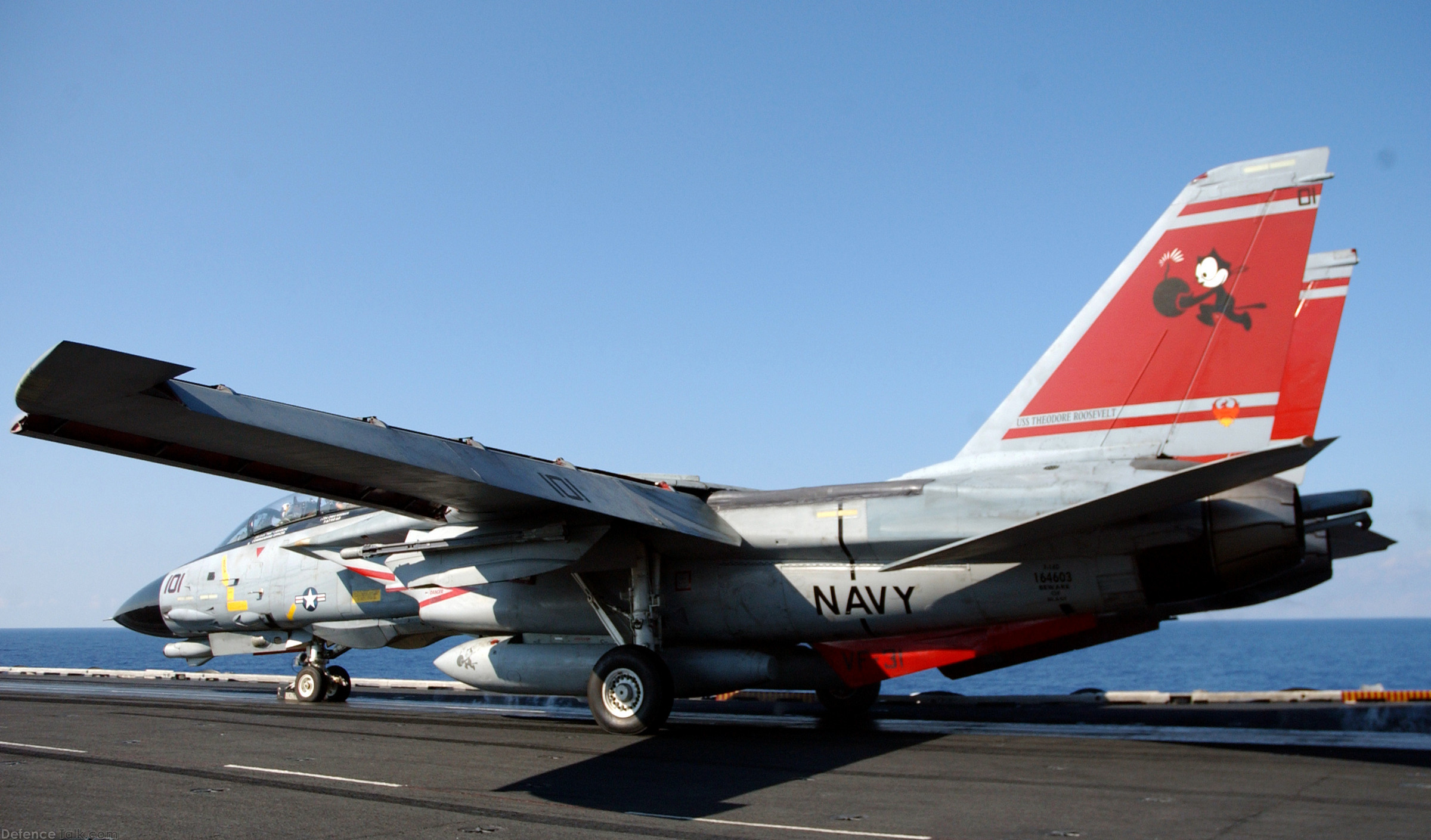 F-14 Tomcat - US Navy Fighter Aircraft