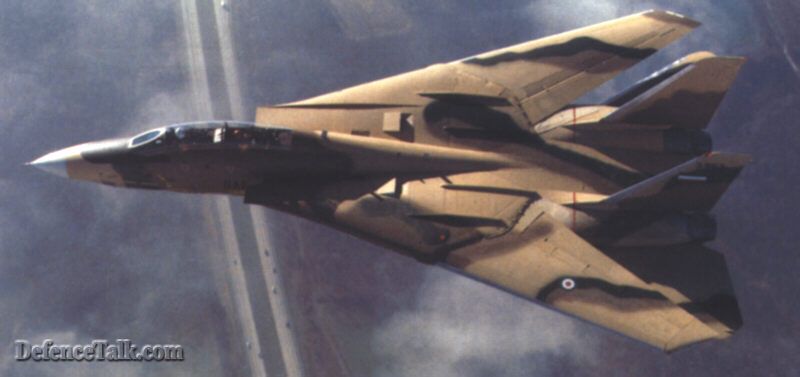 f-14a tomcat iranian