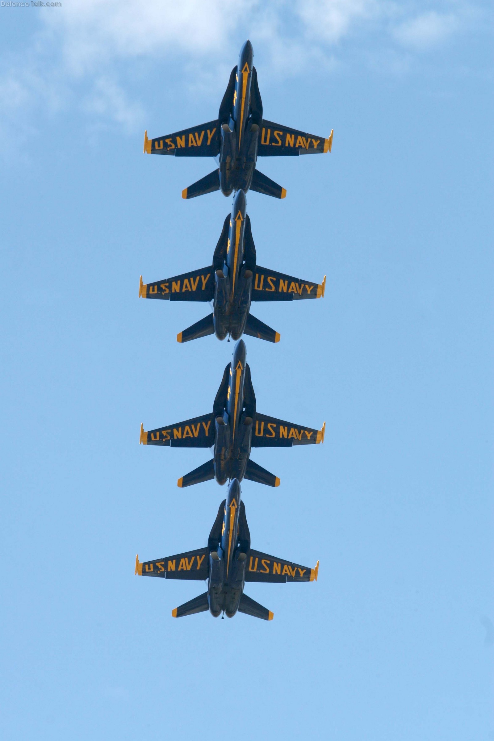 F-18 Blue Angels - Miramar 2010 air show