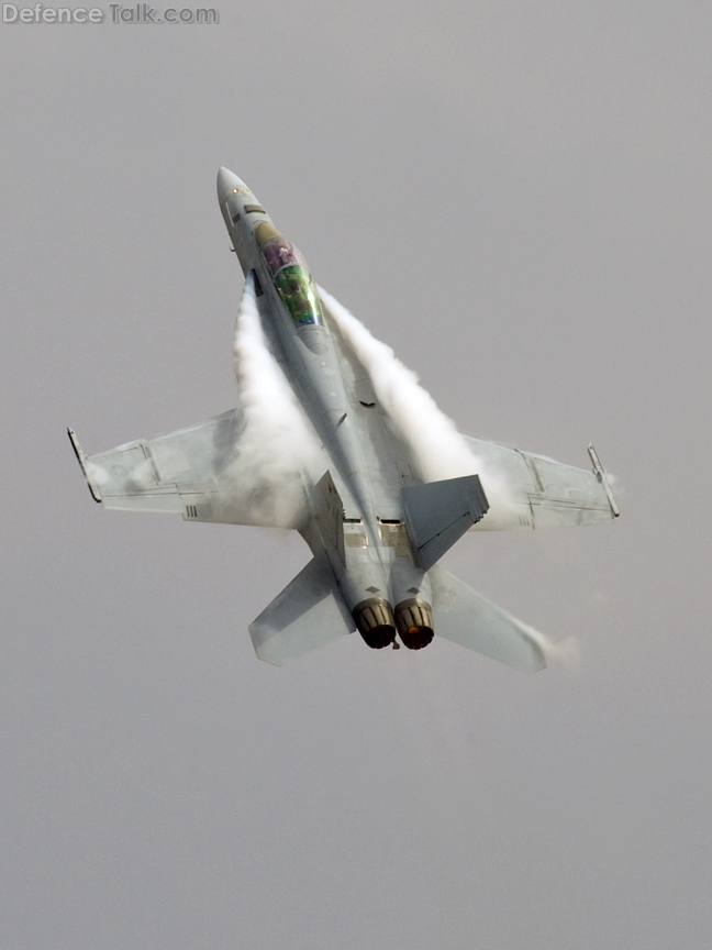 F-18 Super Hornet - Miramar 2010 air show