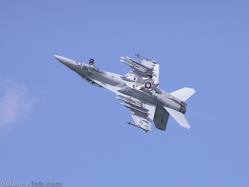 F-18F Superhornet US Navy