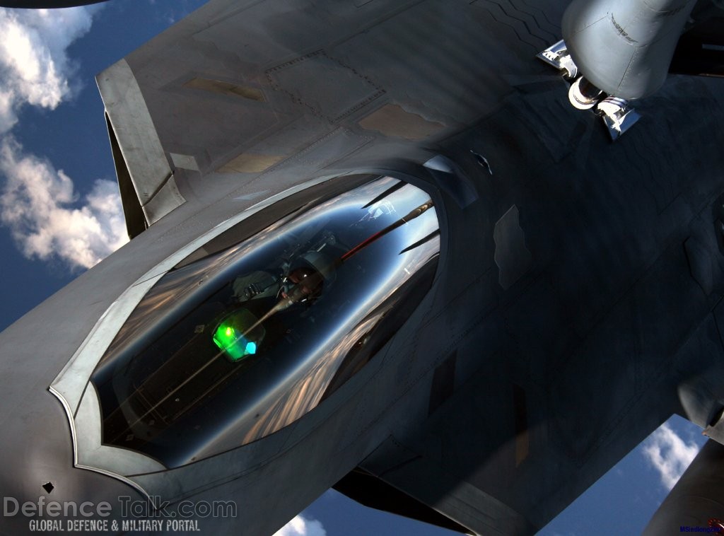 F-22 Raptor Stealth Fighter - US Air Force