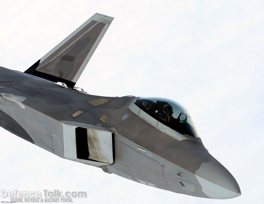 F-22 Raptor Stealth Fighter - US Air Force