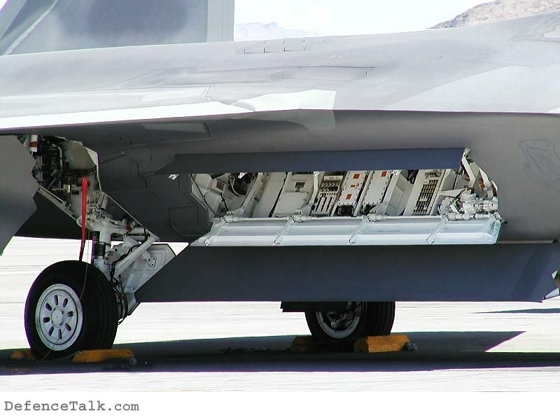 F-22 Raptor